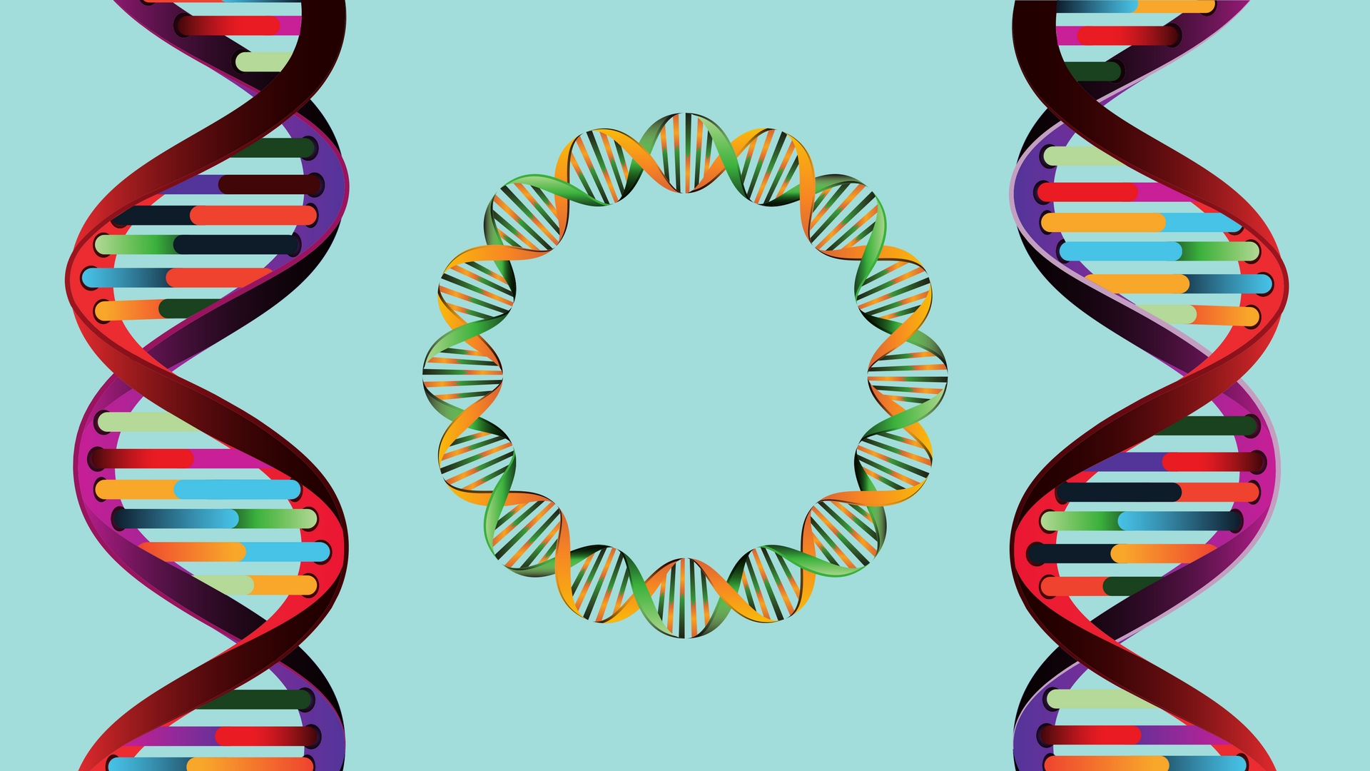 Non-B structures in Meiosis: Devil or Angel?